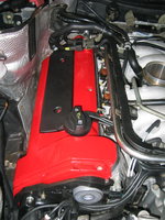 IMG_1175.jpeg
