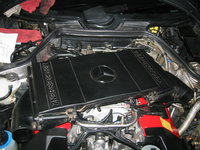 IMG_1235.jpeg