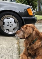 IMG_7689.jpeg