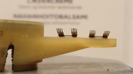 20200912_195325.jpg 20200912_195325.jpg