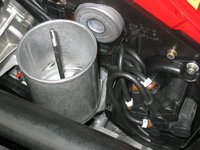 IMG_1258.jpeg