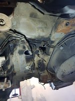 20201007_075352.jpg