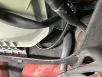 IMG_0782.jpeg
