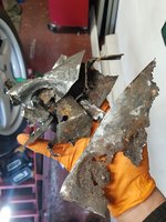 20201108_132020.jpg