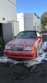 EF6608F7-3C1A-4551-9D9C-DB419D768224.jpg