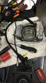 EE0135AC-FBEC-4EC7-976E-365747B50B18.JPG