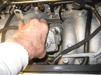 IMG_8860.JPG