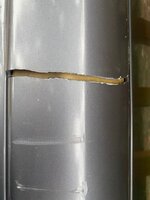 IMG_5043.jpg