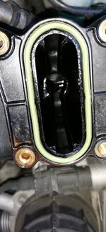 IMG_20210614_185522.jpg