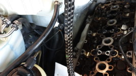 IMG-20210612-WA0009.jpeg