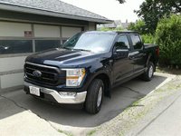 Ford_F150.jpeg