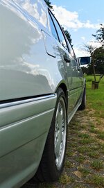 IMG_20210730_183129.jpg