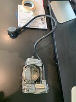 IMG_4313.jpeg IMG_4313.jpeg