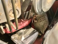 IMG_4554.jpeg