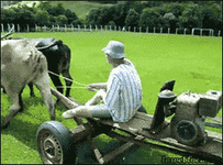 200.gif 200.gif
