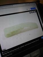IMG_20211111_131110_01.jpg
