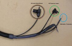 harness_separated_colors-L.jpg
