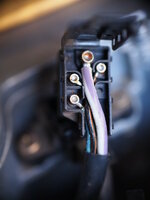 P1010064-XL.jpg