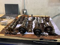 IMG_5547.jpeg