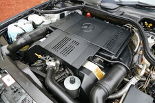 P2480205.jpg
