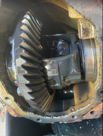 1643411762825.png 1643411762825.png