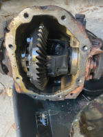 1643411801351.png 1643411801351.png