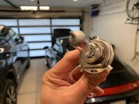 IMG_7909.jpeg IMG_7909.jpeg