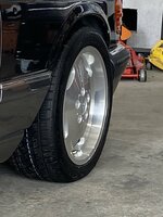 51F39A8C-0445-45E6-A4AD-92BFE9234DBA.jpeg 51F39A8C-0445-45E6-A4AD-92BFE9234DBA.jpeg