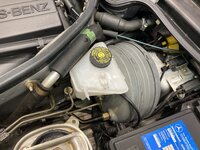 8730A6B6-65A4-4FA6-BA10-6B0D22B2A0BA.jpeg 8730A6B6-65A4-4FA6-BA10-6B0D22B2A0BA.jpeg