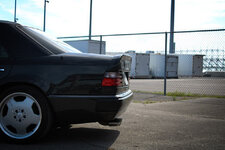 348C279D-405F-4E9C-808B-2EB245CFE019.jpeg