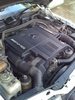 507075d1365121874-w124-e60-amg-sale-46776_106762346051891_3091966_n.jpg