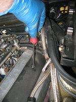 IMG_2523.jpg