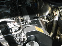IMG_2590.JPG