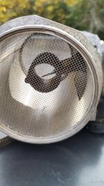IMG_20221007_143204.jpg