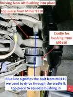 IMG_2623.jpeg