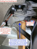 IMG_2624.jpeg