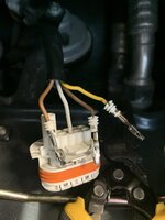 IMG_7878.jpeg