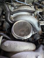 Clean mesh and MAF.jpg