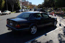 DSCF0230.JPG