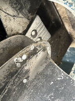 IMG_7772.jpeg