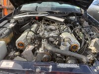 8F291FE5-A37F-486A-8AAB-0C0E04BDD7A4.jpeg