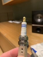 IMG_4550.jpeg