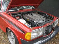 IMG_9572.JPG