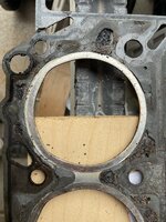 IMG_1839.jpeg