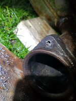 20200408_210350.jpg