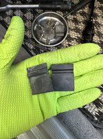 IMG_9667.jpeg IMG_9667.jpeg