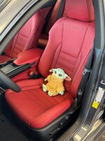IMG_8241.jpeg