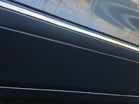 IMG_2884-XL.jpg