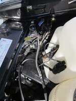 IMG_0428.JPG