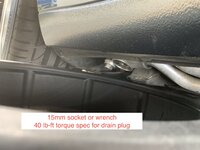 IMG_5708.jpeg
